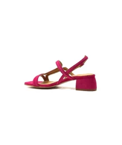JHay 9775 Daim Fuchsia*Femme Sandales