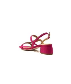 JHay 9775 Daim Fuchsia*Femme Sandales